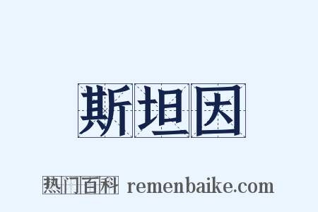 斯坦因是什么意思的图片